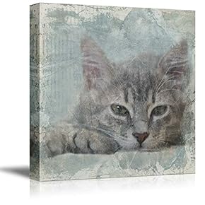 Square Cat Series Cat with Grunge Background