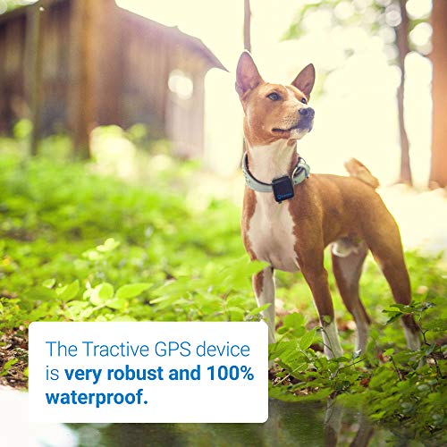4 Tractive+Dog+GPS+Tracker+Finder