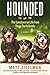 Hounded: The Lowdown on Life from Three Dachshunds