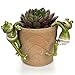 ZAILHWK Planter Pot Hanger Decorations, Frog Flower Pot Resin Creative 3D Craft Frog Figurines Climbing Decoration Animal Ornaments for Office Desk Home Garden Pot Decor,4 pcs