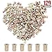 Hilitchi 120 Pcs 1/4-20 UNC Rivet Nuts Threaded Insert Nut (1/4-20 UNC Rivnut)