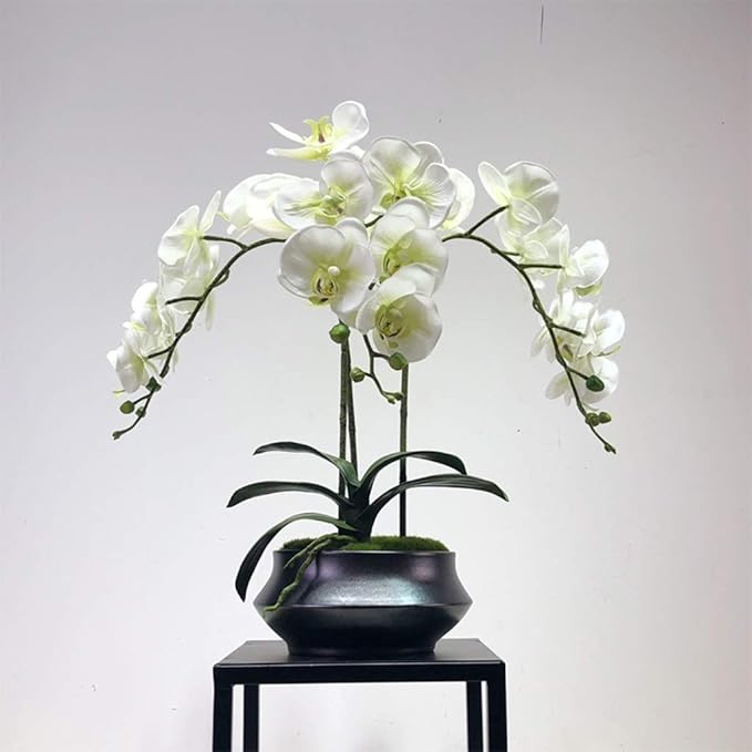Artificial Orchids Decoration Faux Orchids Nearly Natural Phalaenopsis with Stem and Leaves