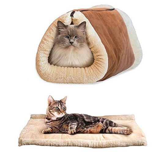 Top 5 Best carpal pad dog for sale 2017 : Product : MD ...