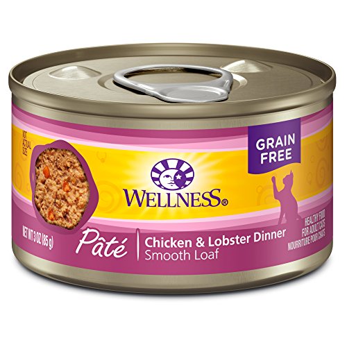 Wellness Complete Health GrainFree Wet Canned Cat Food, Natural