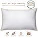 King Size Bed Pillows for Sleeping - 20x36, 2-Pack - Mid Loft - Soft Fiber Fill - Hypoallergenic - Stripe Cotton Covers - Top Alternative to Feather and Down Bedding – Fit California King and Twin Bed