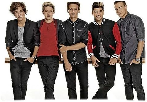 One Direction Pillowcase Covers Standard Size 20"x30" CC3198