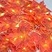 VIKASI Fall Decor, Fall Decorations for Home, 13 ft 40 LED Battery Operated Maple Leaves String Lights for Halloween Thanksgiving Xmas Garden Patio Bedroom Party Indoor Outdoor Decorations