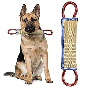 ZSWQ Mordedor Perro Juguetes para Perros Mordedor Perro – K9 Dummy y Motivador Canino Resistente y Duradero – Juguetes para Perros De Entrenamiento 30 x 7 x5 CM