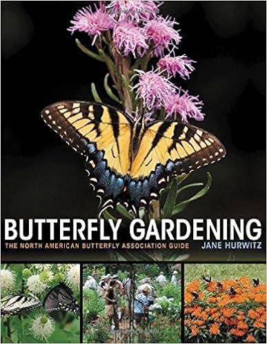 Butterfly Gardening: The North American Butterfly Association Guide Butterfly Gardening: The North American Butterfly Association Guide