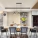 Light Society Margaux 3-Light Kitchen Island Pendant, Matte Black, Vintage Modern Industrial Chandelier (LS-C114)