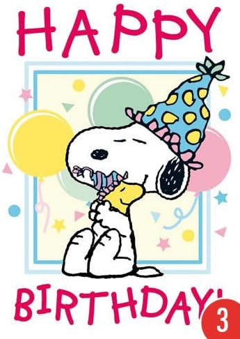 Happy Birthday Close Up C United Feature Syndicate 3er Pack Snoopy Peanuts Von Modern Times Inc Postkarte A6 Snoopy And Woodstock
