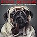 Pug Mugs 2017 Wall Calendar