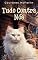 Livro Tudo Contra Nós: Os Mistérios Felinos de Millie, a Gata dos Milagres #2