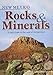 New Mexico Rocks & Minerals: A Field Guide to the Land of Enchantment (Rocks & Minerals Identification Guides)