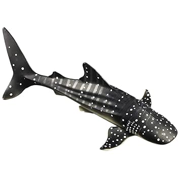 whale shark bath toy
