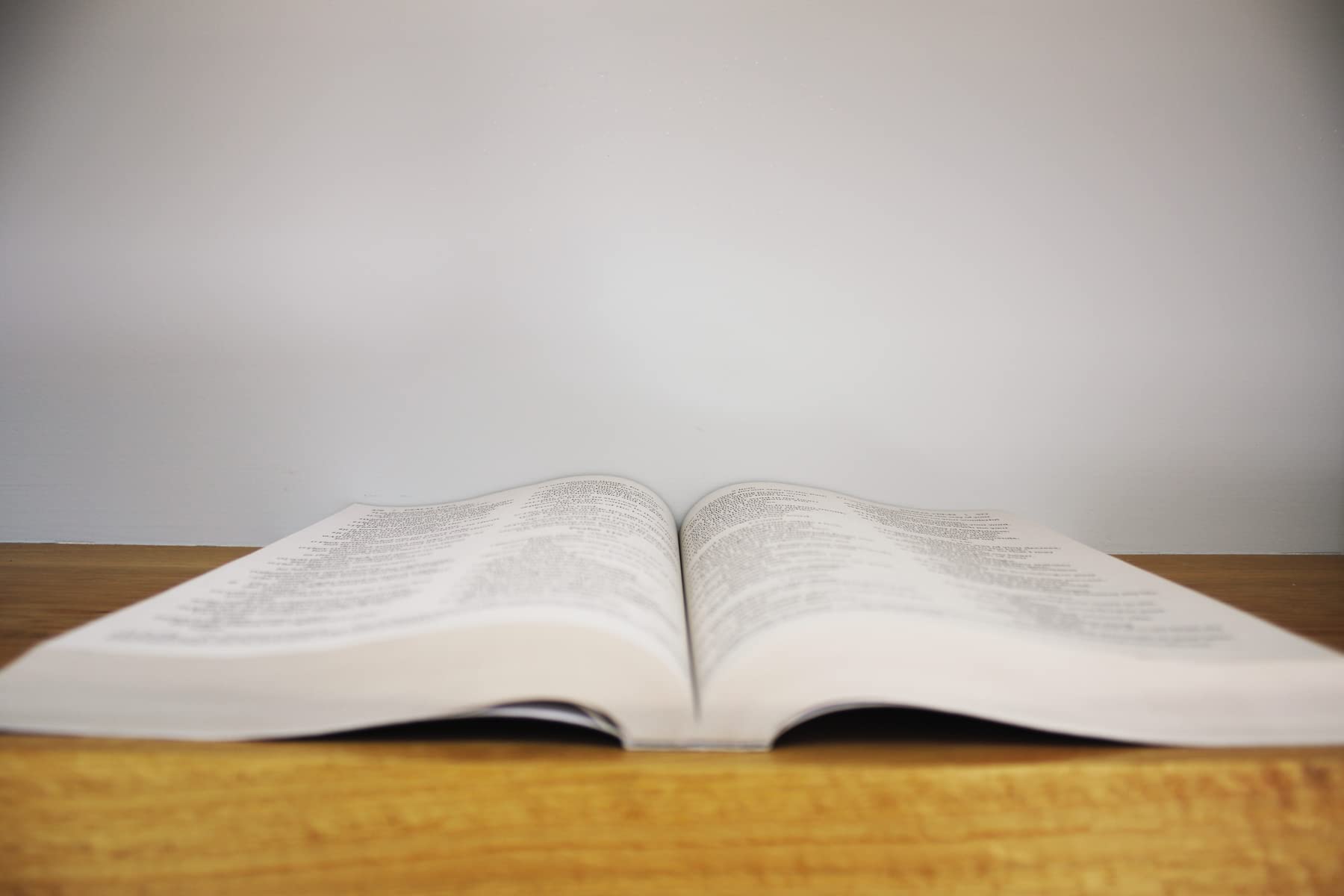 NIV, Outreach Large Print Bible for Kids, Paperback NIV, Outreach Large Print Bible for Kids, Paperback Paperback