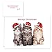 Christmas Cats Holiday Card Assortment Pack / 25 Seasonal Kitten Greeting Cards And Envelopes / 5 Sleeping Santa Animal Designs And Christmas Messages