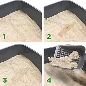 Almo, lettiera per gatti