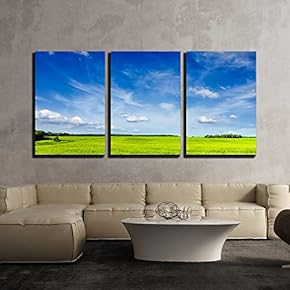 3 Piece Canvas Wall Art - Spring Summer Background - Green Grass Field Meadow Scenery Lanscape - Modern Home Art Stretched and Framed Ready to Hang - 16"x24"x3 Panels