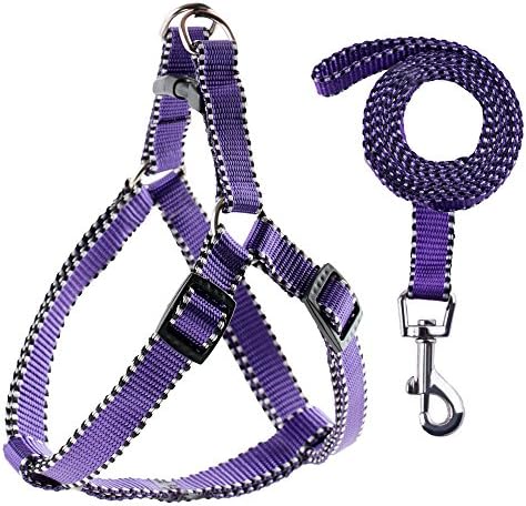 FURSPOT Fashion Style Nylon Dog Leash Harness – Exquisite Durable Dog Leash Set For Medium &amp; Small Dogs - Perfect for Daily Training Walking Running