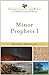 Minor Prophets I (Understanding the Bible Commentary Series)
