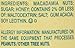 Mauna Loa Premium Hawaiian Roasted Macadamia Nuts, Honey Roasted Flavor, 4.5 Oz Can (Pack of 1)