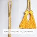 MyGradDay Graduation Honor Cord Length 68'' for College Graduation Students