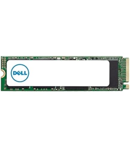 Amazon.com: Dell SSD 256GB Class 40 M.2 2280 NVMe PCIe 3.0 Gen 3x4