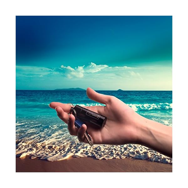 Luxury-High-Fidelity-Earplugs-for-Musician-Concerts-DJ-in-the-Stylish-Metal-Case-material-Brilliant-DURABILITY-and-PRACTICALITY-The-BEST-GIFT-for-those-who-loves-MUSIC–MyTravelUp