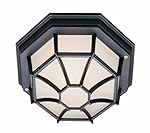 Trans Globe Lighting 40582 RT Outdoor Benkert 5" Flushmount Lantern, Rust