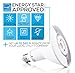Hyperikon PAR38 LED Bulb Dimmable, 14W (100W Equivalent), 5000K (Crystal White Glow), 1260 lm, CRI 90+, Flood Light Bulb, Medium Base (E26), ENERGY STAR - Great for Office, Security, Porch (4 Pack)
