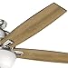 Hunter Indoor Ceiling Fan with LED Light and pull chain control - Donegan 60 inch, Brushed Nickel, 54172