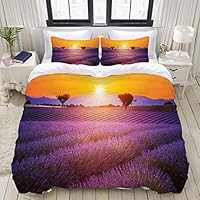 CANCAKA Duvet Cover Set, Idyllic Summer Sunset Landscape with Fresh Field and Trees Valensole France, Custom 3 Piece Bedding Set with 2 Pillow Shams, Twin Size