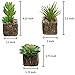 MyGift Set of 3 Decorative Mock Stone Ceramic Artificial Succulent Centerpiece Pots/Realistic Faux Plants