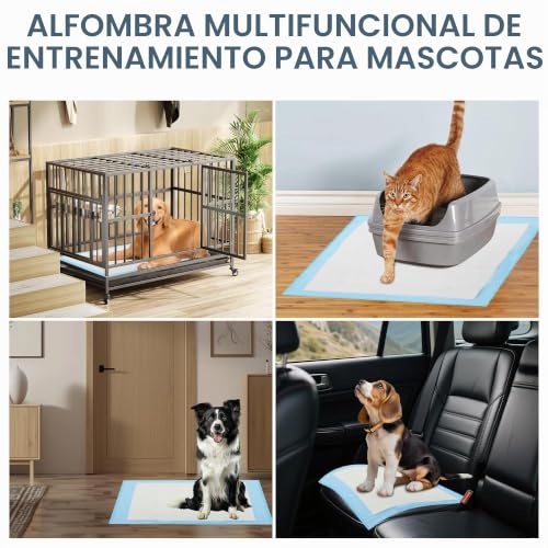 Chumix 100 Units Dog Pads 60 x 60 cm, Dog Pads for Puppy Pads at Home, Design of 6 Layers Anti-Leak, Training Wipes for Puppies, Older Dogs