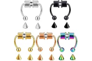 Shuiniba Magnetic Septum Nose Ring Horseshoe Fake Nose Ring Hoop Reusable Nose Ring Hoop Non-Piercing 316L Stainless Steel - 5 Pack