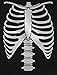 Skeleton Shirt Mens Front & Back Print Rib Cage Xray Costume Adult Funny Halloween Shirts for Men Medium Black