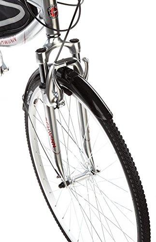 schwinn skyliner bike