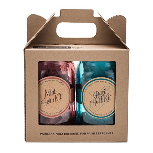 Indoor Herb Garden Starter Kit - Cocktail Inspired - Mint and Basil - 2 Self-Watering Herb Kits
