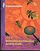 Pre K-8 Environmental Education Activity Guide (Project Learning Tree)