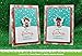 Lawn Fawn Clear Stamp Frosty Fairy Friends