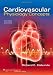 Cardiovascular Physiology Concepts
