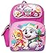 Nickelodeon Paw Patrol Skye Everest 16