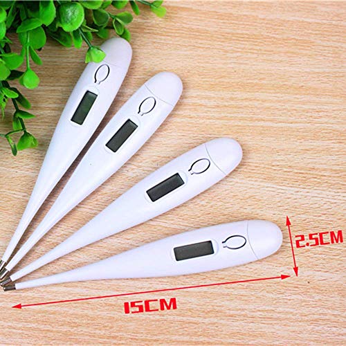 Best Digital Thermometer, Rectal and Oral Thermometer for Adults and