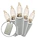 Brite Star 150 Count 8-Function Chasing Light Set - Outdoor String Lights with Twinkling, Flashing, and Steady On Modes - Ideal for Christmas Tree and Outdoor Christmas Decorations, Clear