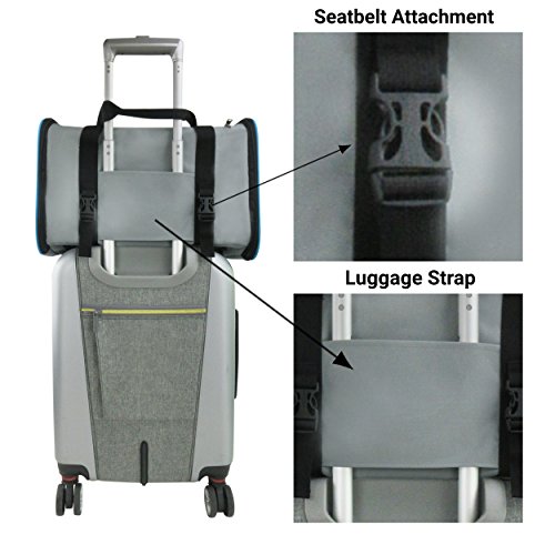Airline Approved Soft Sided Pet Carrier by Mr. Peanut's, 17.5X11X11" Travel Tote with Soft Padded Bedding With Strong 1/4" Wood Base, Seatbelt & Luggage Attachment, Perfect for Cats and Small Dogs - Thumbnail 6