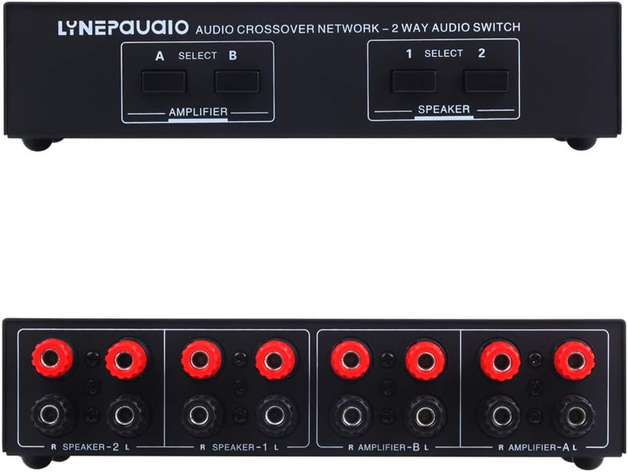 passive speaker switch