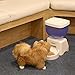 Homgrace New Version Automatic Cat Feeder Food Dispenser with LED Display, Voice Recording, Timer Programmablethumb 4