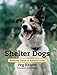 Shelter Dogs: Amazing Stories of Adopted Strays