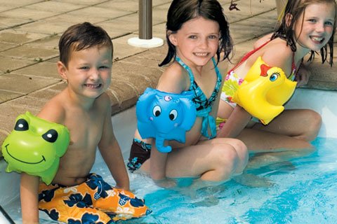 Swimline 98065SL Animal Fun Arm Bands